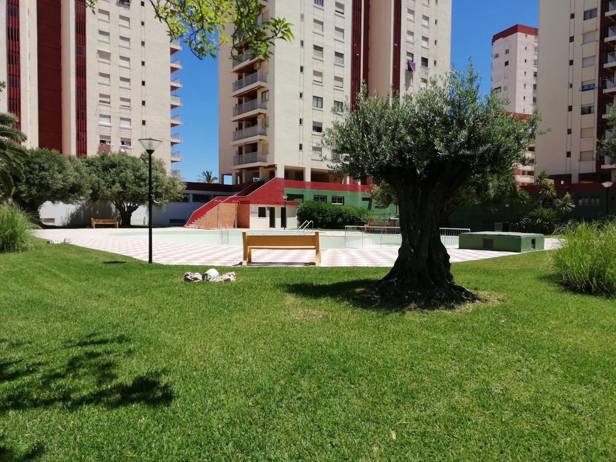 Apartmán Danio Solo Familia Serviplaya Playa de Gandia Exteriér fotografie